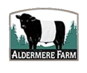 Aldemere300x250