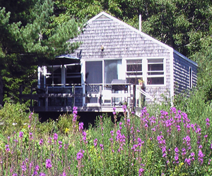 LongCoveCottages300x250