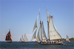 7904027_14_PhotoContest2018MWA-Tracy-Sheppard-Parade-of-Sail-2